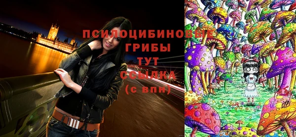 COCAINE Вяземский