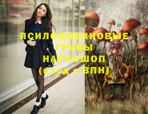 герыч Вязьма
